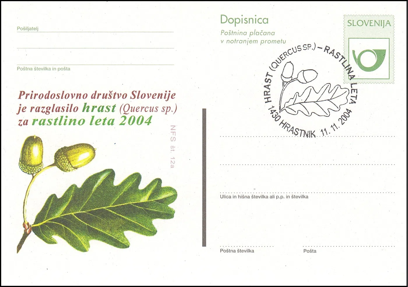 HRAST ( QUERCUS SP. ) - RASTLINA LETA  